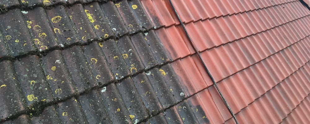Daken reinigen DSP-Cleaning reinigt uw dak.